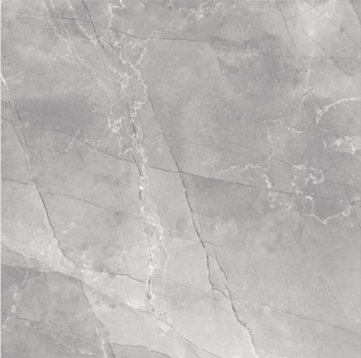 Blizzard Ellie Grey Pulido 60x60