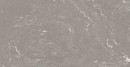 Fioranese I Variegati Cenere 60,4x120,8 IV623R