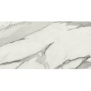 APE Statuary Venato POL Rect 60x120