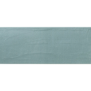 APE This Is Blue 20x50