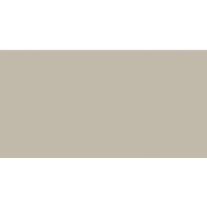 APE Tonality Champagne Matt Rect 60x120 płytki betonowe gresowe