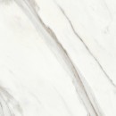 Saloni Agora Blanco Brillo 60x60