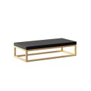 Baltica Design BENTE II GOLD konsola łazienkowa wisząca 60x43 czarny/złoty