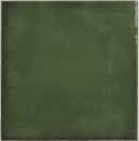 APE/Carmen Fayenza Green 12,3x12,3 płytki ścienne