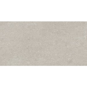 Delconca Wild HWD 05 Grey 60x120 płytki gresowe imitujące beton