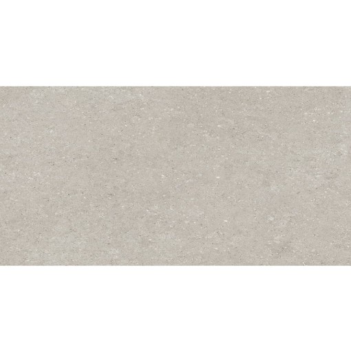Delconca Wild HWD 05 Grey 60x120 płytki gresowe imitujące beton