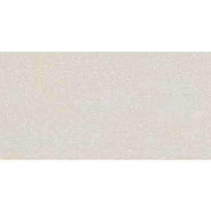 Delconca Wild HWD 10 White 60x120 płytki gresowe imitujące beton