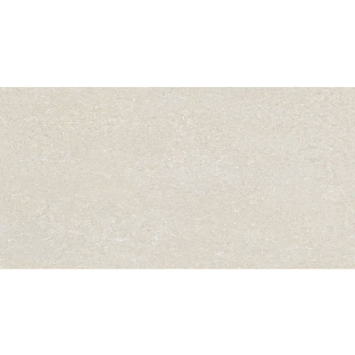 Delconca Wild HWD 10 White 60x120 płytki gresowe imitujące beton