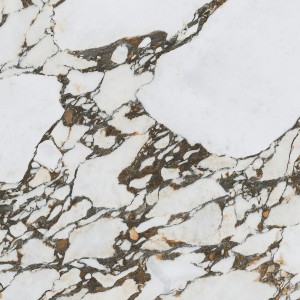 Arcana Les Bijoux Odilon-R Polished 119,3x119,3 płytki marmurowe  gresowe