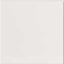 Evolution Blanco Brillo 15x15