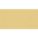 ABK Wide&Style Mini Ginger Rett. 60x120 płytki ścienne