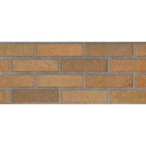 El Molino Ascot Fuego Rect. 20x60 płytki ścienne
