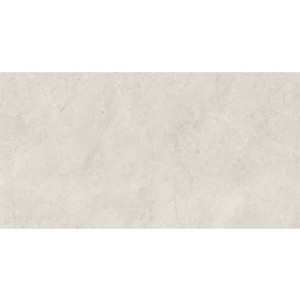 Paradyż Ceramika Afternoon Silver Mat 29,8x59,8 płytki ścienne