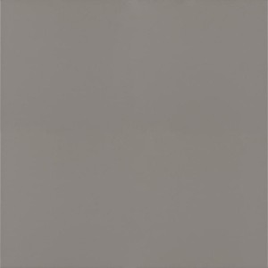 Paradyż Ceramika Bazo Grys Mat 59,8x59,8 płytki monokolor gresowe