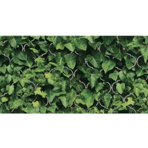 Paradyż Ceramika Dream Inserto Połysk 30x60 płytki ścienne