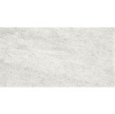 Paradyż Ceramika Emilly Grys Mat 30x60 płytki ścienne