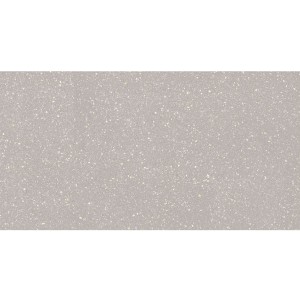 Paradyż Ceramika Macroside Silver Mat 59,8x119,8 płytki lastryko gresowe