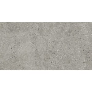 El Molino Hamburg Gris 60x120 płyty tarasowe kamienne gresowe - 20 mm 
