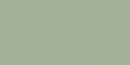 Paradyż Ceramika Feelings Green Mat 29,8x59,8 płytki ścienne
