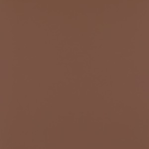 Paradyż Ceramika Modernizm Brown Mat 59,8x59,8 płytki monokolor gresowe