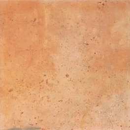 Mainzu Barro Ocre 20x20 płytki rustykalne podłogowe