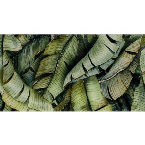 Paradyż Ceramika Natura Inserto Leaf B 30x60 płytki ścienne