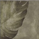 Mainzu Arrebato Tahiti Natural 20x20 płytki ścienne