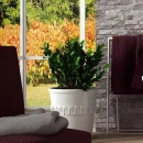Realonda Ribera Gris 31x56 płytki ścienne