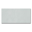 Prissmacer Bercy Bianco Matt 60x120 płytki gresowe imitujące beton