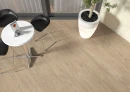 Argenta Arco Deck Honey 23x120 płytki drewnopodobne gresowe