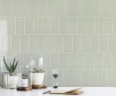 Fabresa Craquele S/C Fern Brillo 10x20 płytki cegiełki