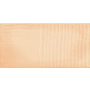 Imola Gesso Terracotta GESSO1 1020TC 10x20 płytki ścienne imitujące beton