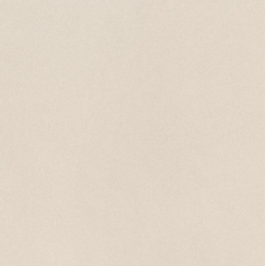 Imola Parade PRTU 60W RM 60x60 płytki gresowe imitujące lastryko