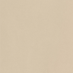 Imola Parade PRTU 60A LV 60x60 płytki gresowe imitujące lastryko