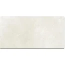 Argenta Olimpo Bone 30x60 płytki betonowe gresowe