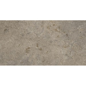 WOW Abbey Stone XL Cluny 22x44 131083 płytka kamienna