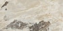 Płytka gresowa imitująca kamień, połysk Florim Creative Design Onyx&More Golden Blend Glossy 60x120