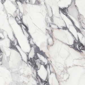 Florim Luxury Design Les Origines Argent Matte 120x120 769955 imitacja marmuru