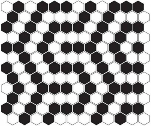 Dunin Mini Hexagon B&W Coral Premium Matt 26x30 mozaika heksagonalna