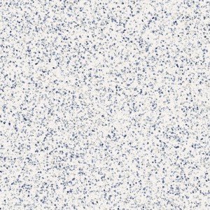Marazzi Frammento Macro Azzurro R10 120x120 MMZY płytka lastryko w jasnoniebieskim kolorze 