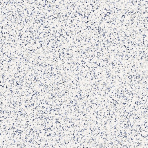 Płytka lastryko w jasnoniebieskim kolorze z widocznymi, drobnymi kamyczkami, Marrazi Frammento Macro Azzurro R10 120x120 cm MMZY