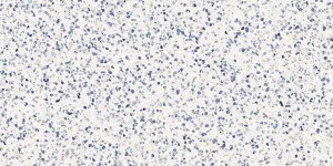  Marazzi Frammento Macro Azzurro R10 60x120 MN13 płytka lastryko w jasnoniebieskim kolorze  