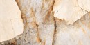 Płytka imitująca marmur Marazzi Grande Marble Look Patagonia Lux z beżowym tłem i wyraźnymi brązowymi i złotymi żyłkami