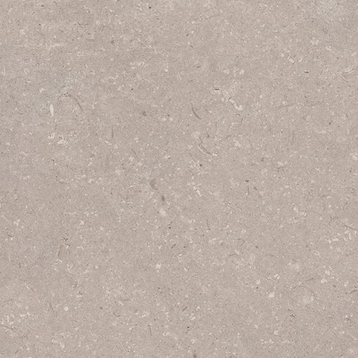 Płytka ścienno-podłogowa imitująca kamień, w kolorze brązowym, matowa powierzchnia Porcelanosa Coral Topo L 44,3x44,3 100347626