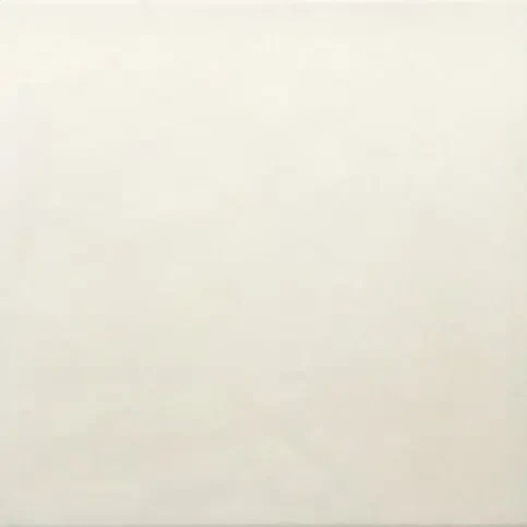 Płytka gresowa w kolorze białym, wykończenie powierzchni matowe, Equipe Ares Blanco 20x20