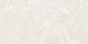 Maxibox Olivia Silver Polished 60x120 szare płytki imitujące beton