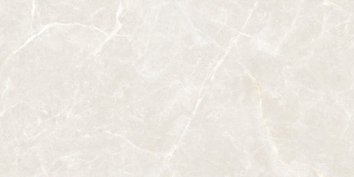 Płytka gresowa w kolorze szarym imitująca beton, wykończenie powierzchni w połysku, Maxibox Olivia Silver Polished 60x120