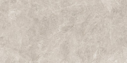 Płytka ścienno-podłogowa imitująca kamień, w kolorze szarym, matowa powierzchnia Caesar Haven Shale Matt 60x120