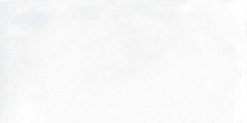 Płytka gresowa, podłogowa w kolorze białym, wykończenie powierzchni matowe, Geotiles Argon Blanco Natural 30,3x61,3