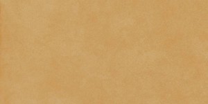 Fioranese The_Color Amber Natural 60,4x120,8 TH629R żółte podłogowe płytki betonowe